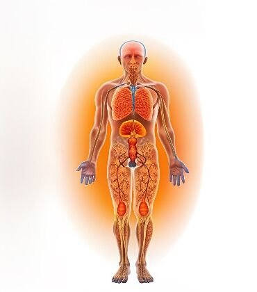 angiosarcoma-and-hemangiosarcoma
