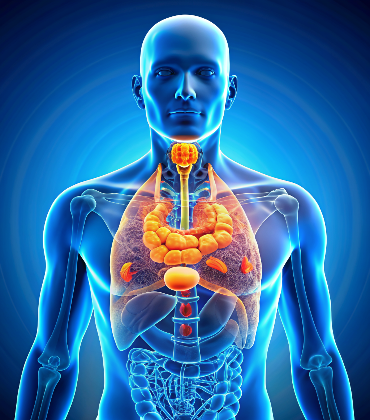 endocrine-tumors
