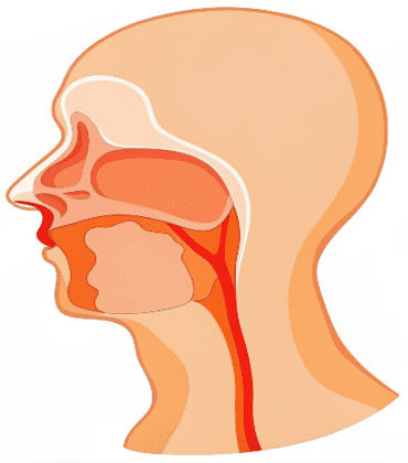 nasal-cavity-cancer