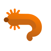helicobacter-pylori-infection